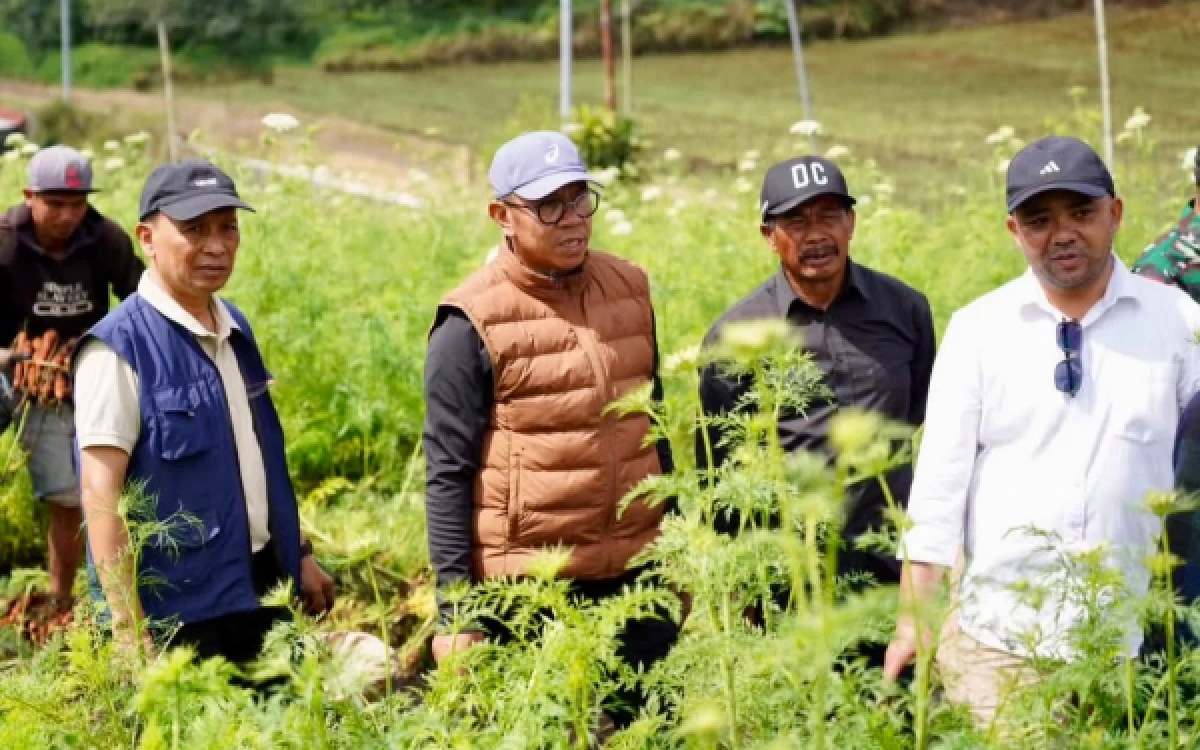 Thumbnail Berita - Hortikultura Kota Batu Masih Jadi Andalan Nasional, Pemkot Batu Dorong Petani Naik Kelas