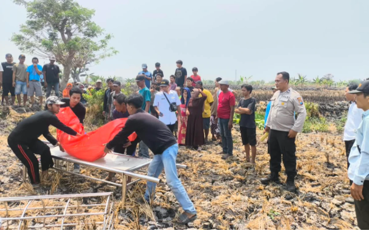 Thumbnail Berita - Geger! Jenazah Lansia Ditemukan di Sudut Sawah Lamongan, Terungkap Fakta Korban Hilang Sejak 4 Hari
