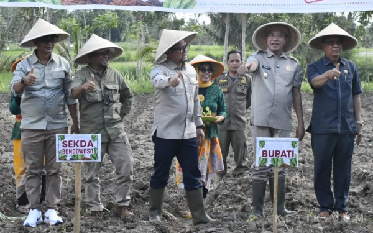 Thumbnail Berita - Bupati Bondowoso Resmi Buka Tanam Raya Tembakau 2026, Tegas Lawan Regulasi yang Ancam Petani