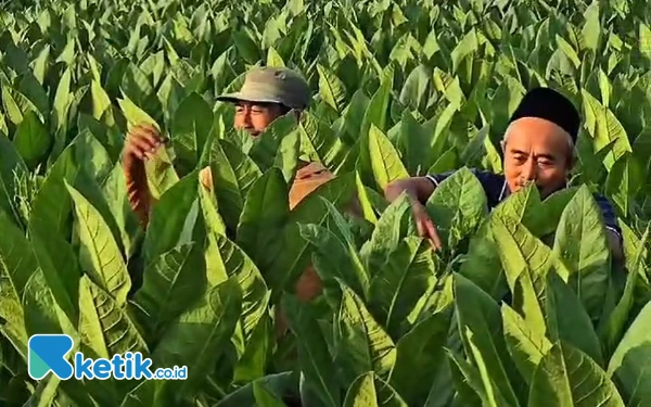 Thumbnail Berita - Menjaga Jawa Timur dari Cukai Hasil Tembakau Agar Tak Kacau