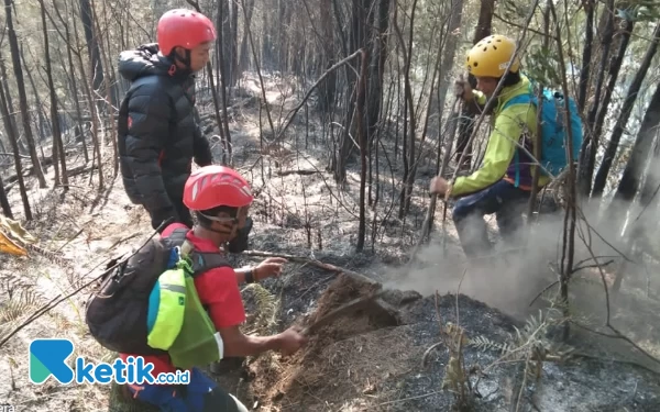 Thumbnail Karhutla Gunung Kawi Malang, 1063 Hektar Lahan Terbakar