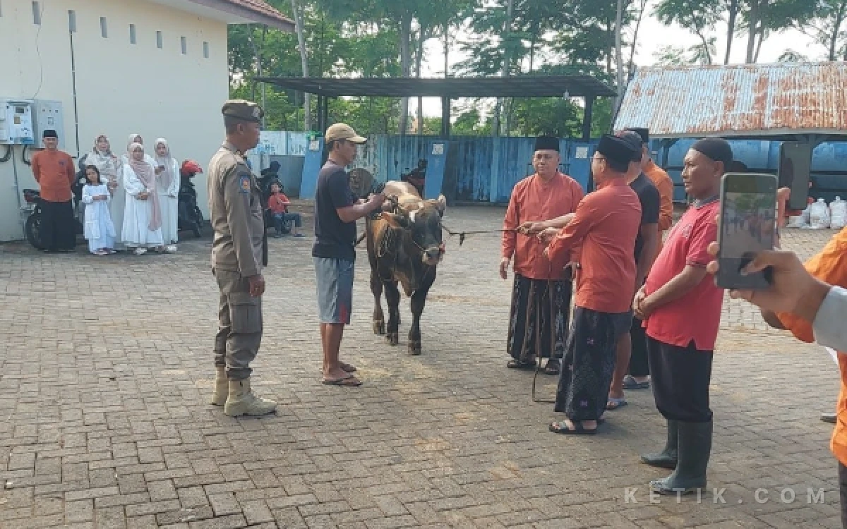Thumbnail Berita - Iduladha 1447 H, KORPRI Situbondo Qurban 8 Sapi