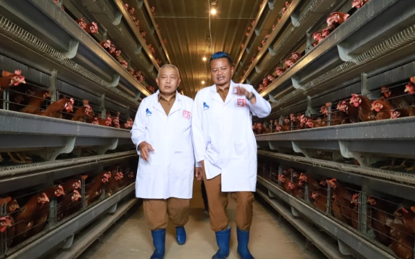 Thumbnail Berita - Penuhi Target Swasembada Pangan, Pemkab Malang Belajar Ternak Ayam ke Blitar