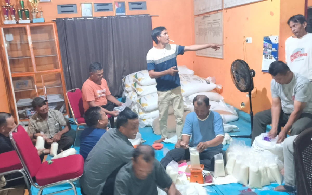 Thumbnail Berita - Tebu Rakyat Rengas I Masuk Tahun Ketiga, Hasil Usaha Kembali untuk Warga
