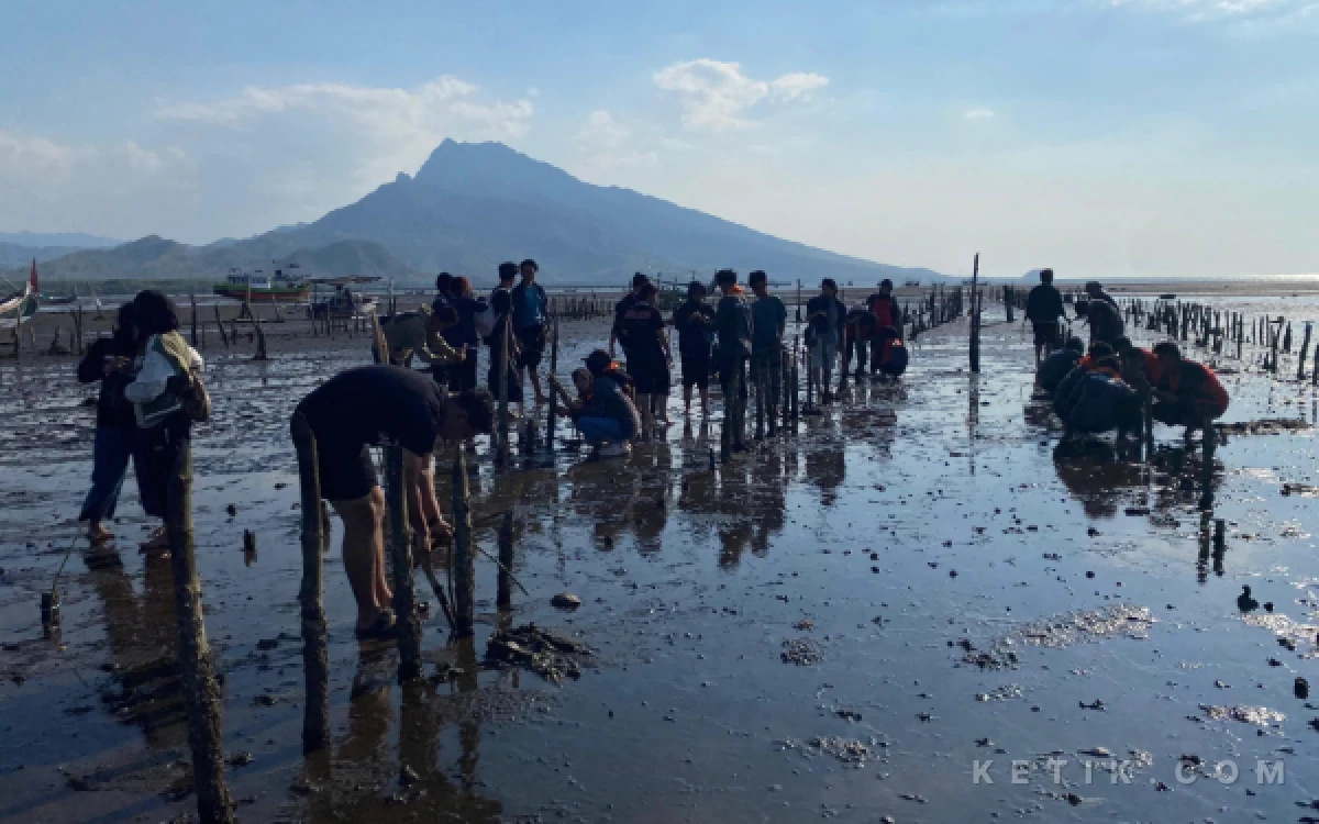Thumbnail Berita - Peringati Hari Mangrove Sedunia, IWS Bersama Mahasiswa KKN dan Santri Tanam 200 Bibit Mangrove di Pesisir Situbondo
