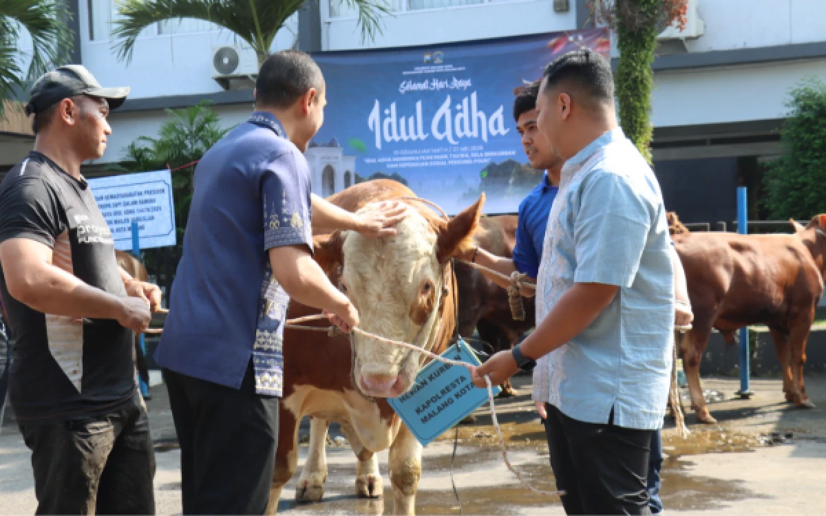 Thumbnail Berita - Momentum Iduladha 2026, Polresta Malang Kota Salurkan Ribuan Daging Kurban