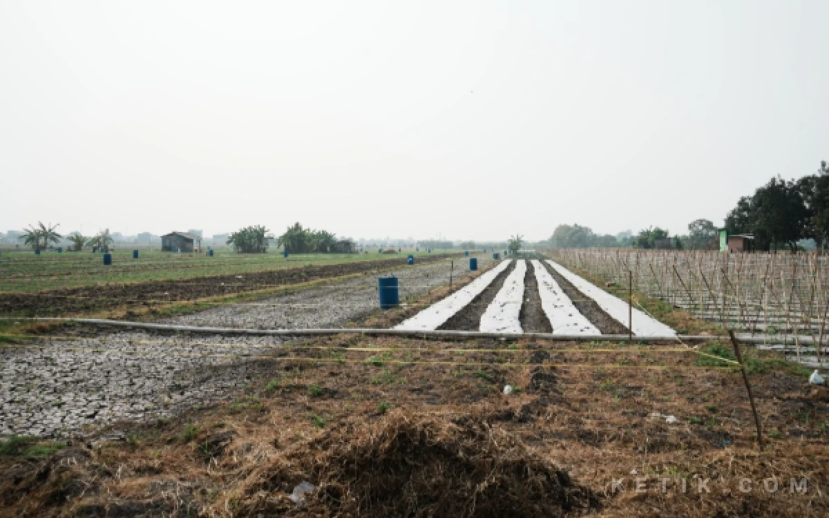 Thumbnail Berita - Kompi Produksi Dibangun di Sidoarjo, Dukung Program Andalan Presiden Prabowo