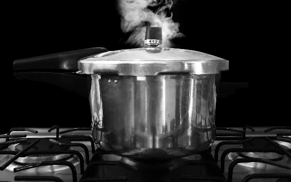 Ingin Nutrisi Makanan Terjaga, Coba Memasak Menggunakan Pressure Cooker
