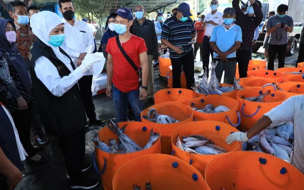 Thumbnail Khofifah Optimis Sektor Perikanan Dongkrak Ketahanan Pangan Nasional