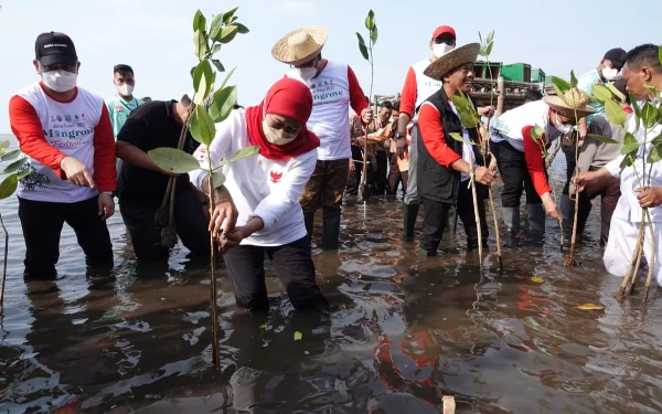 Thumbnail Gubernur Jatim Terus Lakukan Konservasi Perluasan Hutan Mangrove