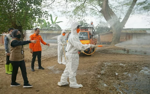 Thumbnail Di Tengah Kasus PMK, Kalaksa BPBD Jatim Berharap Stok Daging Aman