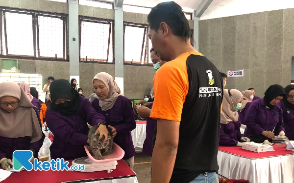 Thumbnail Ratusan Hewan di Bondowoso Divaksinasi Rabies