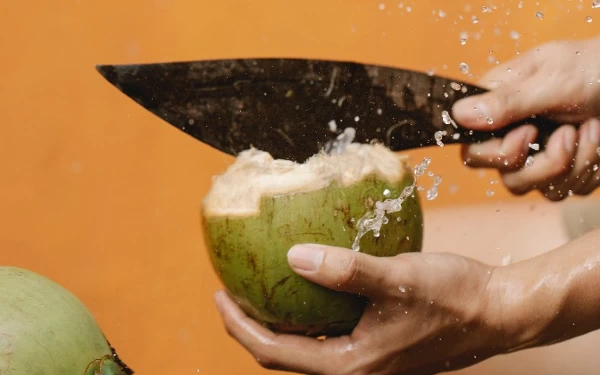 Thumbnail Hati-Hati Mengonsumsi Air Kelapa! Bisa Berakibat Buruk Bagi Beberapa Orang