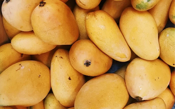 Sering Kelupaan Simpan Buah Mangga sampai Busuk? Ini Tips Menyimpannya Agar Tahan Lama