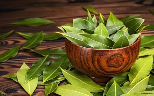 Thumbnail Sering Digunakan Sebagai Bumbu Masak, Ini Khasiat Lain Daun Salam