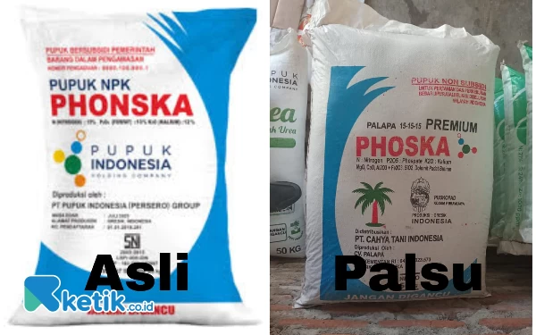 Thumbnail Waspada! Pupuk Murah Ditengarai Palsu Beredar di Jember