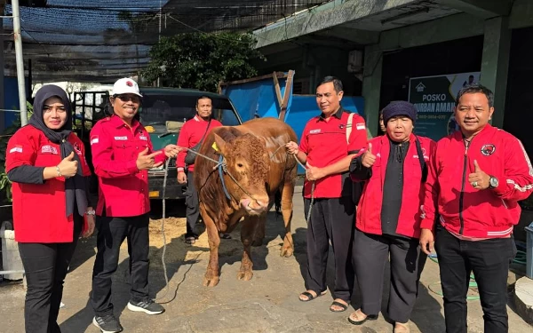 Thumbnail DPC PDIP Surabaya Kurban 15 Sapi, Bakal Didistribusikan ke 13 Kecamatan