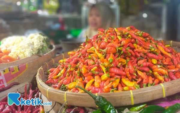 Harga Cabai di Jember Naik hingga Dua Kali Lipat