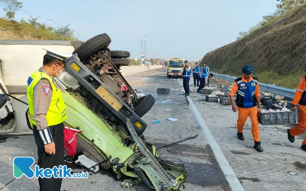 Thumbnail Akibat Ban Pecah, Truk Muatan Ayam Frozen Kecelakaan di Tol Caruban - Kertosono
