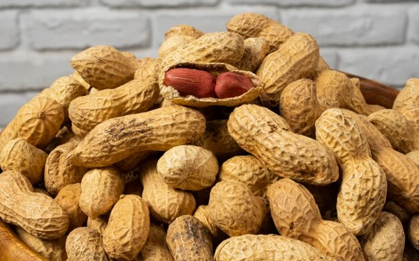 Kacang Jadi Favorit Camilan Nonton Bola, Simak Manfaatnya untuk Tubuh