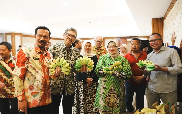 Makin Terbuka, Pisang Kirana dari Lumajang Tembus Pasar Dunia