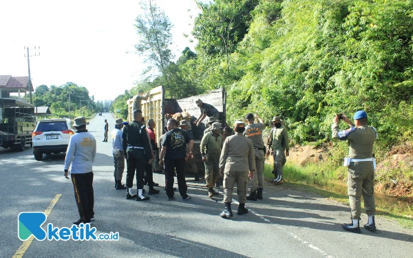 Lagi, Satpol PP Aceh Jaya Tertibkan Puluhan Hewan Ternak
