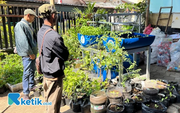 Thumbnail Urban Farming Selamatkan Kota Malang dari Rentan Rawan Pangan