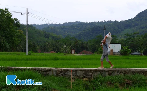 Thumbnail 53 Titik Baru di 2024, Pembangunan Jalan Usaha Tani Pacitan Tembus 9,4 Km