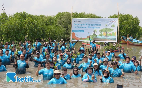 Thumbnail Bio Farma  Tanam 3.500 Mangrove Atasi Dampak Abrasi