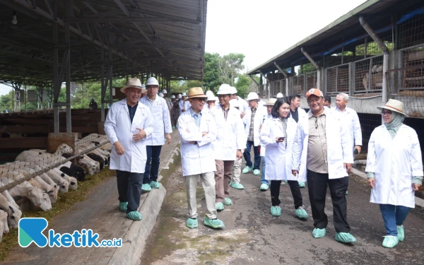 Thumbnail OJK Jabar Berhasil Ciptakan Ekositem Pembiayaan Peternak Domba