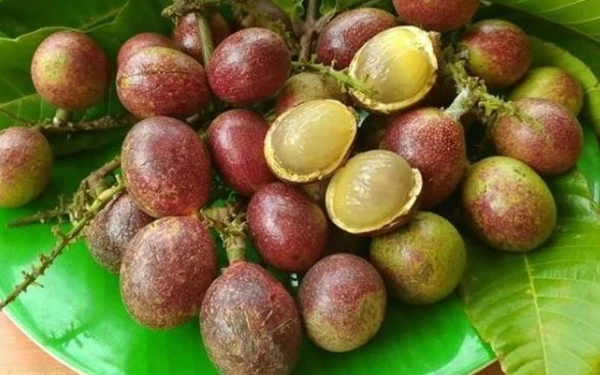 Mengenal Buah Matoa: Si Eksotis dari Papua