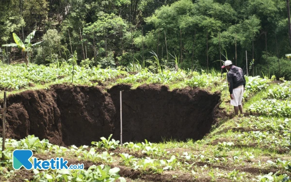 Thumbnail Dugaan Tambang Ilegal Sebabkan Tanah Ambles di Sawah Desa Giripurno Kota Batu