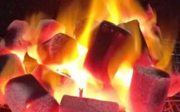 Thumbnail 12 Langkah Nyalakan Arang untuk Bakar-bakar di Tahun Baru 2025