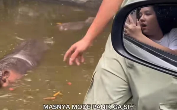 Thumbnail Viral Petugas Taman Safari Prigen Dituduh Terima Pungli, Pembuat Video 'Dirujak' Netizen