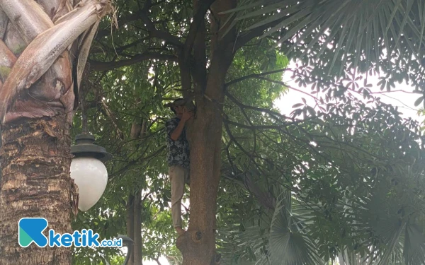 Thumbnail Pakar UC Ungkap Dampak Psikologi Aplikasi Koin Jagat