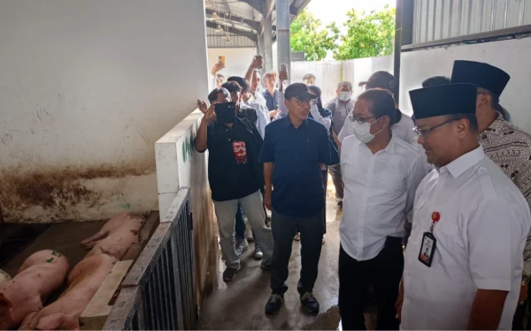 Komisi B DPRD Surabaya Sidak RPH Banjar Sugihan, Pastikan Suara Babi Tak Ganggu Masyarakat