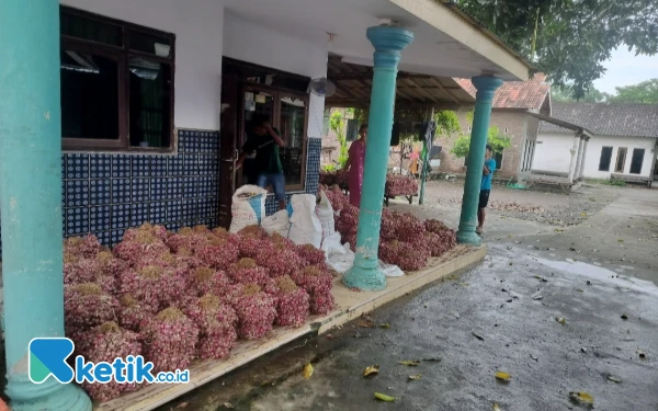 Thumbnail Berita - Derita Warga Desa Seboro Probolinggo Terisolir Pascabanjir Bandang, Anak Tak Sekolah hingga Hasil Panen Terbengkalai