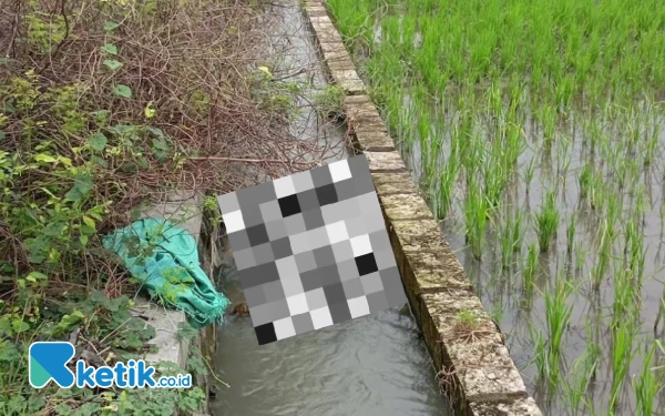 Pemancing di Jombang Temukan Sosok Mayat Tanpa Kepala di Saluran Irigasi, Dikira Boneka Sawah
