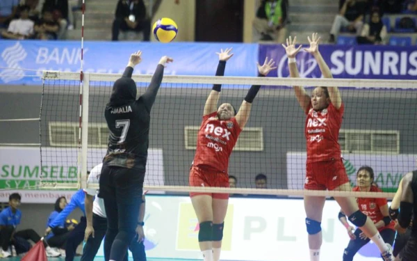 Thumbnail Final Four Proliga 2024 Semarang Ganti Jadwal, Bentrok dengan Liga 1