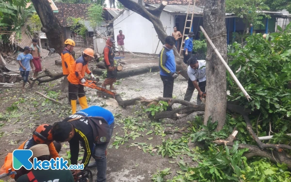 Thumbnail Berita - Diterjang Angin Kencang, 8 Rumah Warga Situbondo Rusak