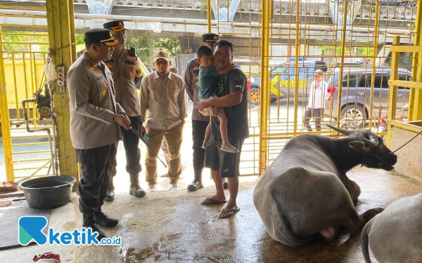 Thumbnail Berita - Polres Abdya Cek Rumah Potong Hewan, Harga Sapi dan Kerbau Capai Rp 30 Juta