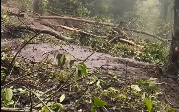 Thumbnail Longsor di Cangar, Tim SAR Surabaya Diterjunkan