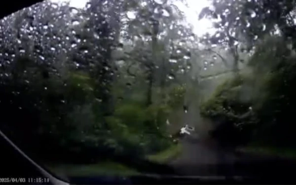 Thumbnail Berita - ‎Dua Mobil Tersapu Longsor di Jalur Cangar Batu- Pacet Mojokerto