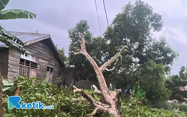 Thumbnail Berita - Desa Sawadai Halsel Diterjang Angin Kencang, Satu Rumah Warga Rusak