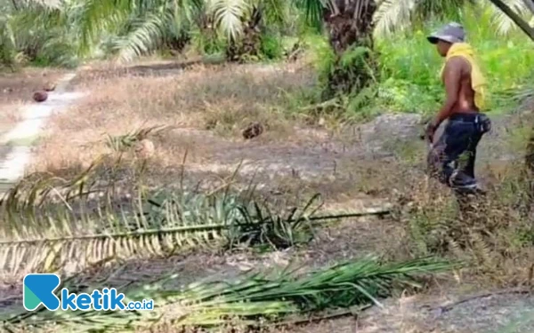 Thumbnail Berita - Rebut Cuan di Negeri Seberang, Pacitan Pasok Tiga Pekerja Migran Pascalebaran