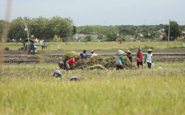 Thumbnail Program Makmur Bantu Petani Hemat Biaya dan Tingkatkan Panen