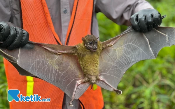 Thumbnail Berita - [FOTO] Pelestarian Flora dan Fauna Endemik Harita Nickel