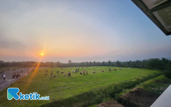 Thumbnail Hari Ini Langit Berawan Menyelimuti Jember dan Sekitarnya