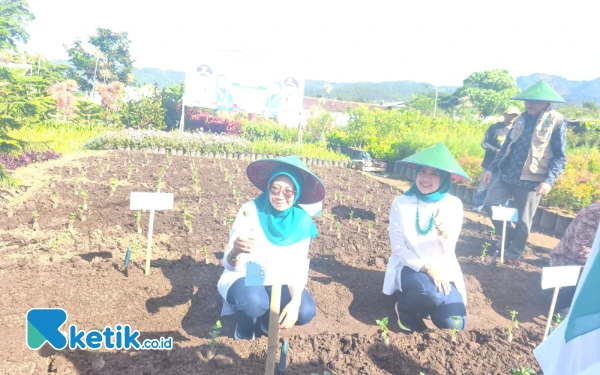Thumbnail Berita - ‎Kendalikan Inflasi, Ribuan Cabai Ditanam Serentak di Kota Batu