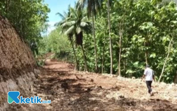 Thumbnail Jalan Srau-Watukarung Pacitan Diperlebar 10 Meter, Target Rampung Juli 2025